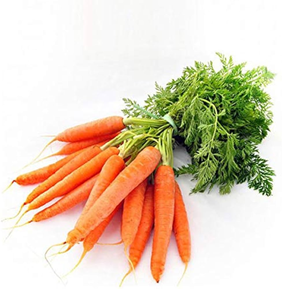 Orange Gajar (नारंगी गाजर)